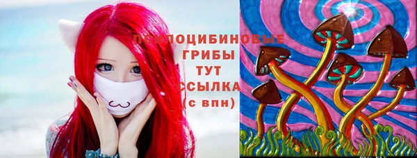 молекула духа Армянск