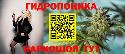 мяу мяу мука Тула