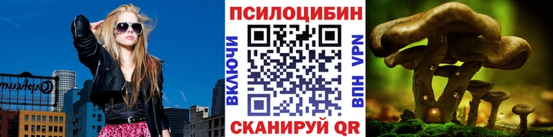 ссылка на мегу как зайти  Родники  Псилоцибиновые грибы мицелий 