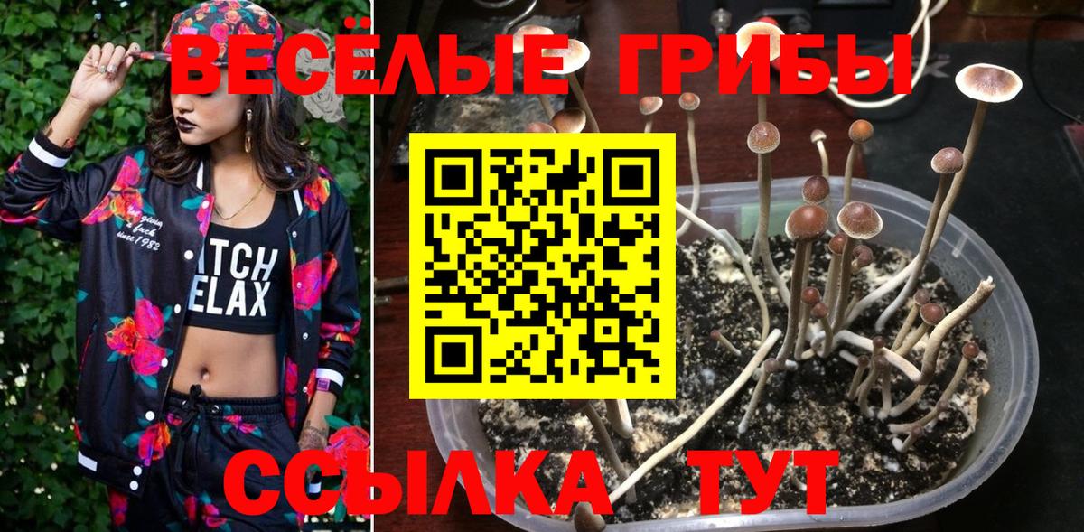 Галлюциногенные грибы Magic Shrooms Родники